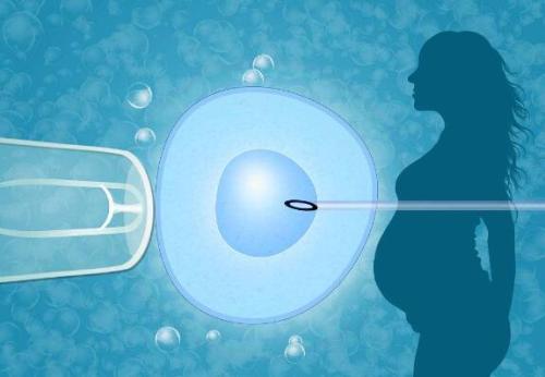 南通40岁助孕机构-在国外做试管婴儿，哪种胚胎移植的成功率更高？