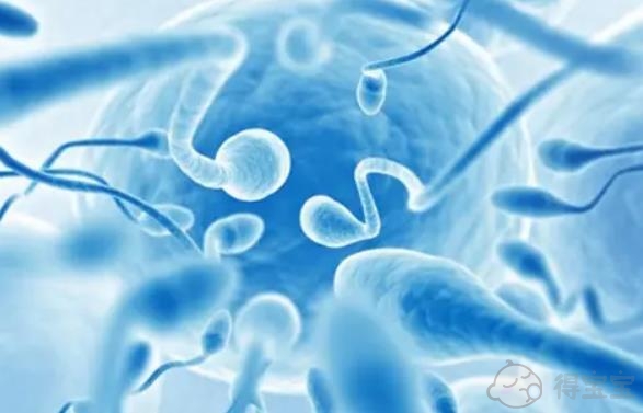 男性伴侣在河南生殖医院申请捐献精子试管婴儿需要满足哪些条件？