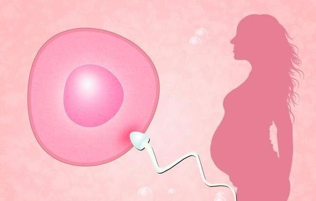 2022年，我可以在湖南省妇幼保健院用捐赠的卵子做试管婴儿吗？捐卵需要排队吗？