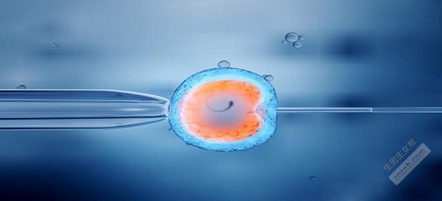 输卵管不通的治愈率]输卵管不通，如何治疗？