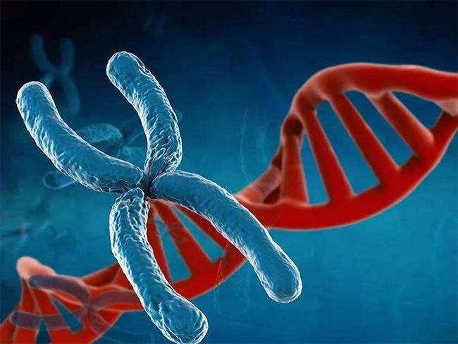 代妈应聘公司-非侵入性DNA是否仍需要NT？