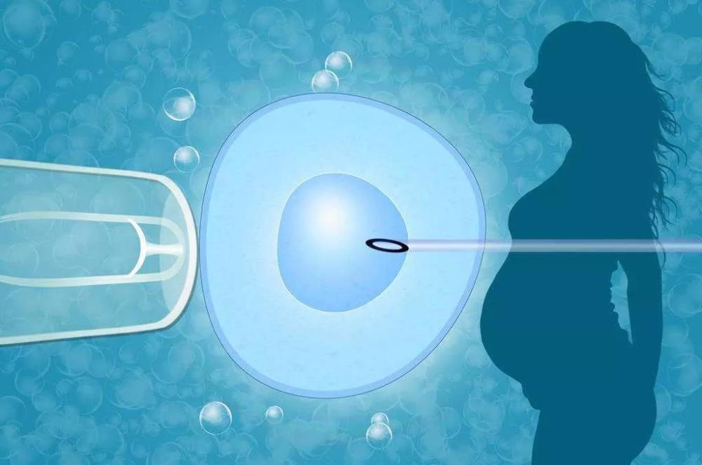 武汉试管哪个医院成功率高：我们应该选择哪种类型的胚胎移植？