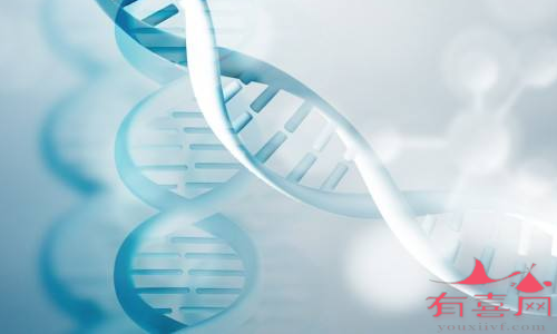 柳州助孕中介信息：纯235基因突变是什么意思？